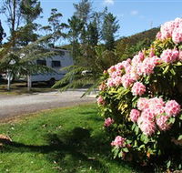 Zeehan Bush Camp  and Caravan Park - Kempsey Accommodation