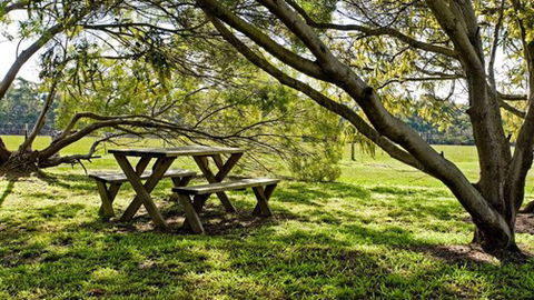 Freshwater Creek Cottages - Kempsey Accommodation 4
