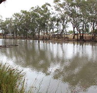 Riverbank Caravan Park - Kempsey Accommodation
