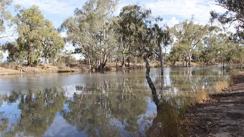 Riverbank Caravan Park - Kempsey Accommodation 5