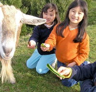 Johanna River Farm and Self Contained Cottages - Kempsey Accommodation