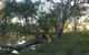 Numurkah Caravan Park - thumb 5