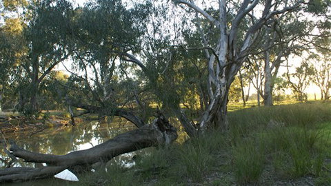 Numurkah Caravan Park - Kempsey Accommodation 5