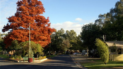 Numurkah Caravan Park - Kempsey Accommodation 6