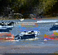 Lake Dyer - Kempsey Accommodation