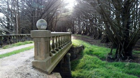 Moranghurk Vineyard & Accommodation - Kempsey Accommodation 2