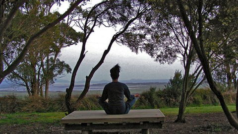 Sabrelyn Park - Kempsey Accommodation 4