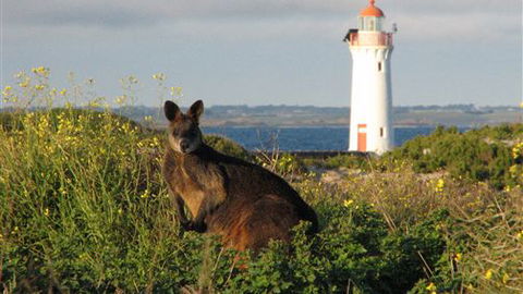 Port Fairy YHA - Kempsey Accommodation 2