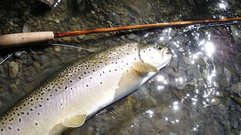 Riverview Lodge - Kempsey Accommodation 3