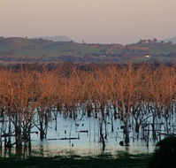Salisbury - Kempsey Accommodation