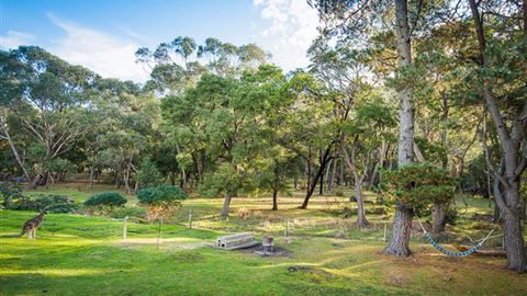 Serenity Halls Gap: Nat Park Frontage - Kempsey Accommodation 7