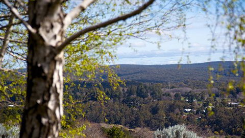 Hilltop Cottage - Daylesford - Kempsey Accommodation 5