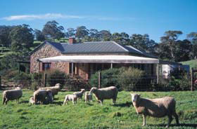 Amanda Stichbury Cottage - Kempsey Accommodation 0