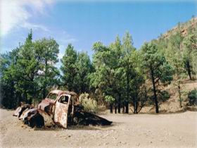 Moolooloo Station - Kempsey Accommodation 1