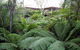 Adelaide Hills Bed & Breakfast Accommodation - thumb 3