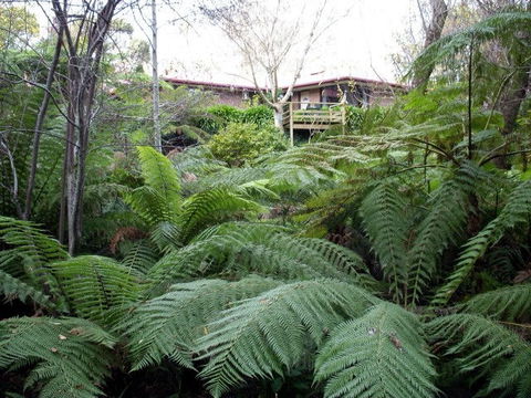 Adelaide Hills Bed & Breakfast Accommodation - Kempsey Accommodation 3