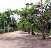 Alva Beach Tourist Park - Kempsey Accommodation