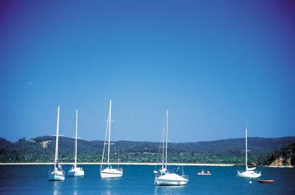 Boydtown Caravan & Camping Park - Kempsey Accommodation 2