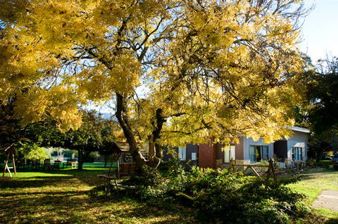 Buffalo Motel And Country Retreat - Kempsey Accommodation 5