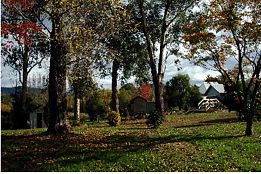 Buffalo Motel And Country Retreat - Kempsey Accommodation 8