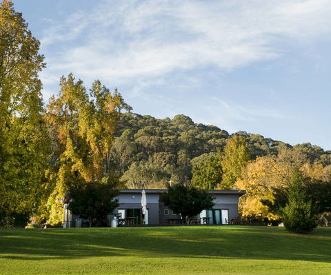 Buffalo Motel And Country Retreat - Kempsey Accommodation 6