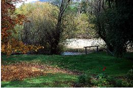 Buffalo Motel And Country Retreat - Kempsey Accommodation 9