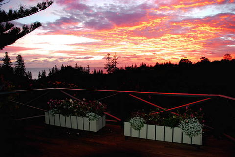 Cascade Garden Apartments - Kempsey Accommodation 3