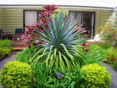 Channers On Norfolk - Kempsey Accommodation 5