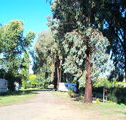 Cudal Caravan Park - Kempsey Accommodation
