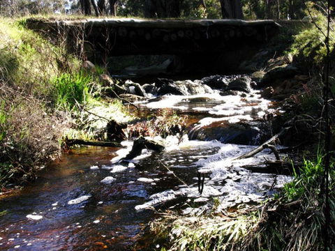 Hidden Grove Retreat - Kempsey Accommodation 4