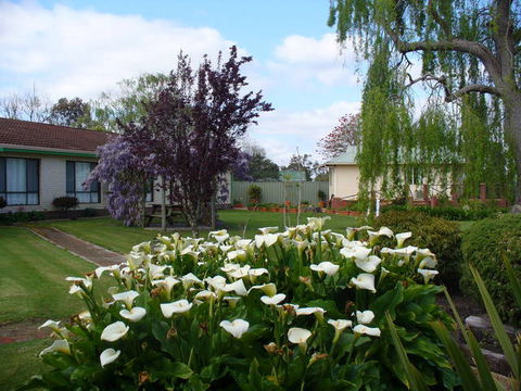 Mount Barker Valley Views Motel And Chalets - Kempsey Accommodation 1