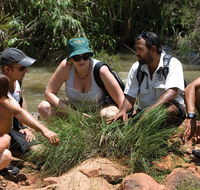 Nitmiluk Tours  Accommodation - Kempsey Accommodation
