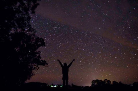 Childers Eco-lodge - Kempsey Accommodation 5