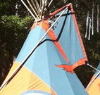 Central Coast Eco Tours - Kempsey Accommodation