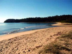 Seahorse Inn Hotel - Kempsey Accommodation 4