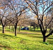 Wellington Caves Caravan Park - Kempsey Accommodation
