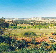 Pecan Hill Bed and Breakfast - Kempsey Accommodation