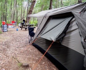 WA Wilderness Catered Camping At Big Brook Arboretum - Kempsey Accommodation 0