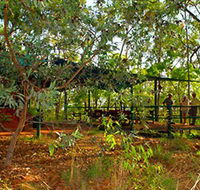 Arnhemland Barramundi Nature Lodge - Kempsey Accommodation