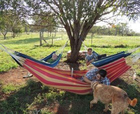 Childers Eco-lodge - Kempsey Accommodation 1