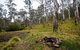 Gummi Falls Campground - thumb 0
