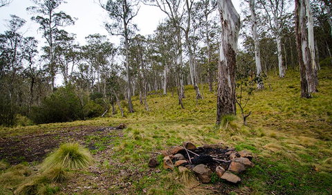 Gummi Falls Campground - Kempsey Accommodation 0