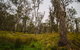 Gummi Falls Campground - thumb 1