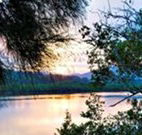 Tweed Coast Holiday Parks Hastings Point - Kempsey Accommodation