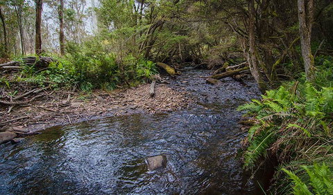 Horse Swamp Campground - Kempsey Accommodation 0