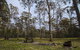 Horse Swamp Campground - thumb 1