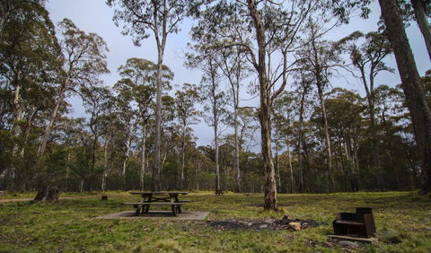Horse Swamp Campground - Kempsey Accommodation 1