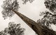 Horse Swamp Campground - thumb 2