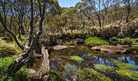 Junction Pools Campground - Kempsey Accommodation 0