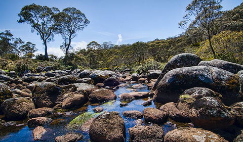Junction Pools Campground - Kempsey Accommodation 2